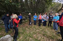 ESERCIZI DI MINDFULNESS IN NATURA