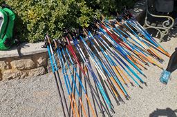 PASSEGGIATE ATTIVE E CAMMINATA NORDICA